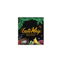 Exotic Whip - Scatola Gusti Misti - 6 Bombole da 670gr